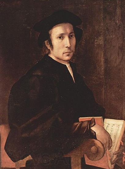 Jacopo Pontormo Portrat eines Musikers Spain oil painting art
